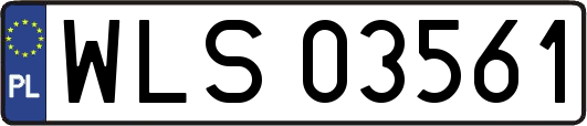WLS03561