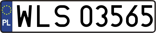 WLS03565