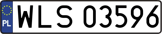 WLS03596