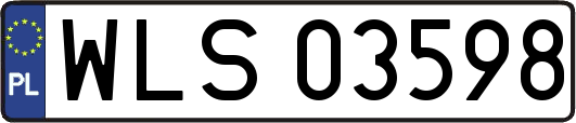 WLS03598
