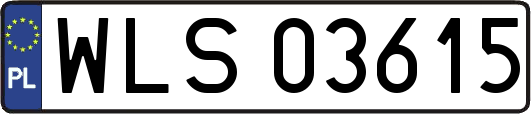 WLS03615