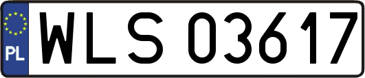 WLS03617