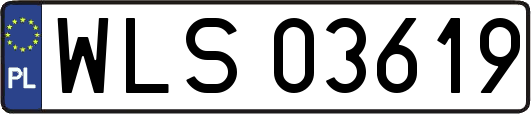 WLS03619