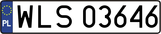 WLS03646