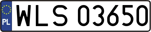 WLS03650