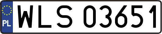 WLS03651