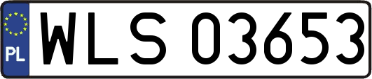 WLS03653