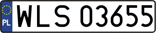 WLS03655