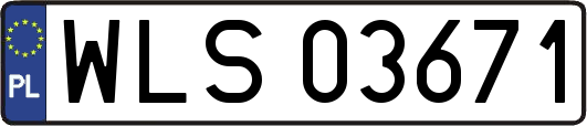 WLS03671