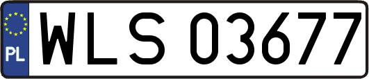 WLS03677