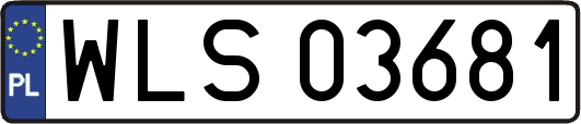 WLS03681