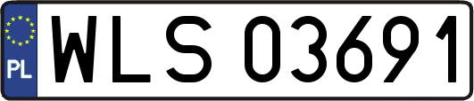 WLS03691