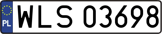 WLS03698