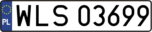 WLS03699