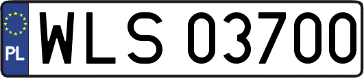 WLS03700