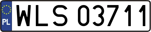 WLS03711