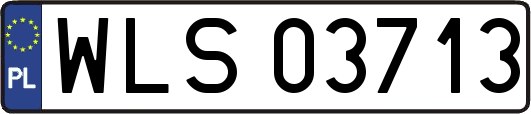 WLS03713