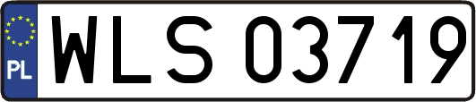 WLS03719