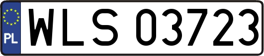 WLS03723