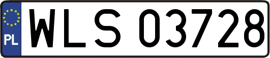 WLS03728