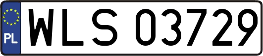 WLS03729