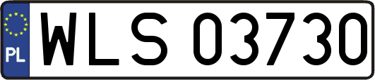 WLS03730