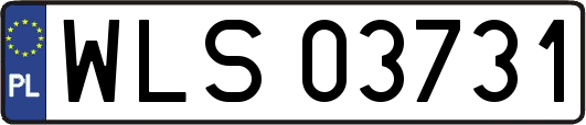 WLS03731