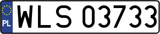 WLS03733