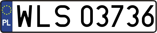 WLS03736