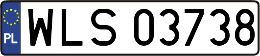 WLS03738