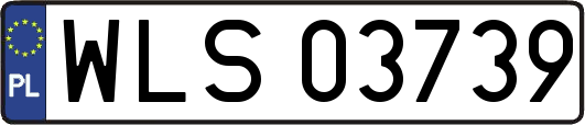 WLS03739