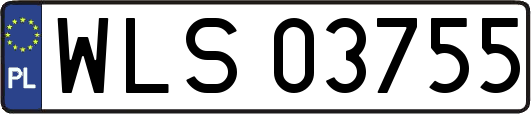 WLS03755