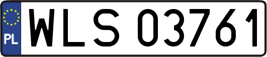 WLS03761