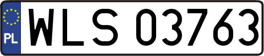 WLS03763