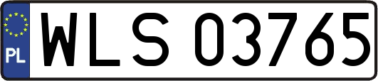 WLS03765