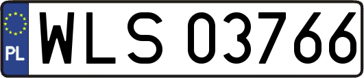 WLS03766