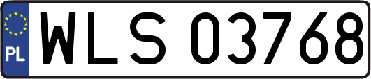WLS03768