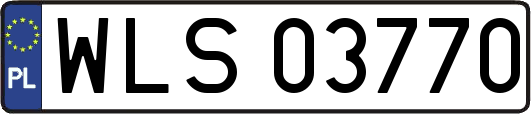 WLS03770