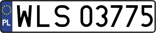 WLS03775