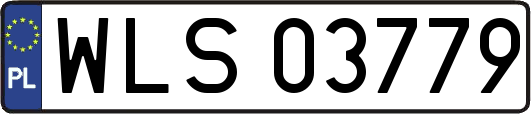 WLS03779