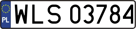 WLS03784