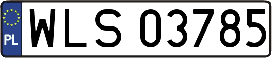 WLS03785