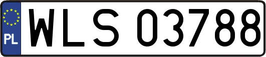 WLS03788
