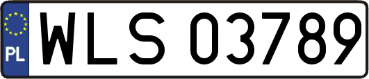 WLS03789