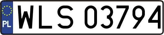 WLS03794