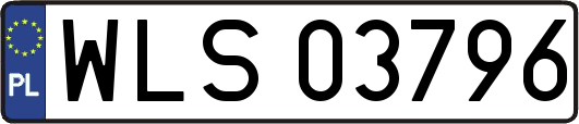 WLS03796