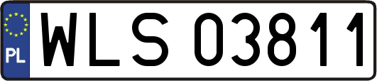 WLS03811