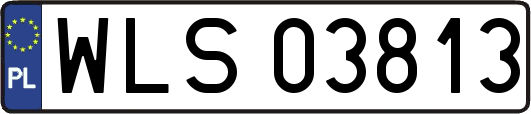 WLS03813
