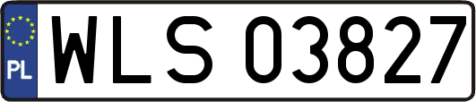 WLS03827