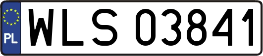 WLS03841